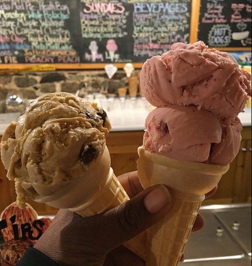 A hand holding two ice cream cones: one with chocolate chip and the other with strawberry, against a colorful menu backdrop.