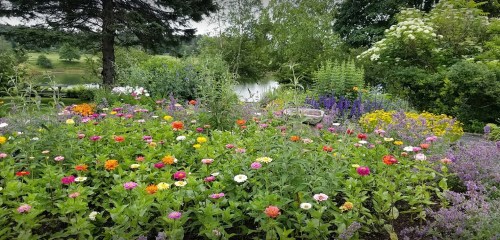 A vibrant garden filled with colorful flowers in bloom, overlooking a serene lake and lush greenery.