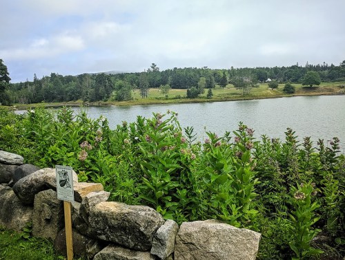 A serene lakeside view with lush greenery and a stone wall, under a cloudy sky. A sign is partially visible in the foreground.