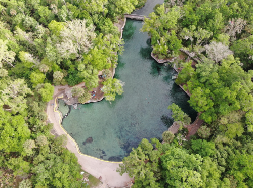 Aerial view of a serene, green forest surrounding a clear blue swimming area with pathways and a bridge.