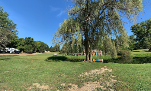 A serene park scene featuring a large tree, a pond, and colorful buildings in the background under a clear blue sky.