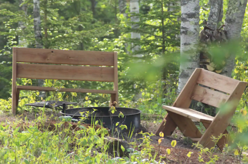 A wooden bench and chair near a fire pit, surrounded by greenery and trees in a serene outdoor setting.