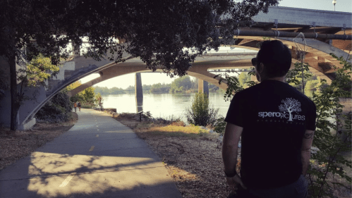 A person stands by a riverbank, looking at bridges and a path lined with trees in the background.