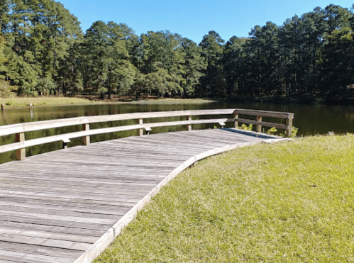 A wooden walkway curves towards a calm pond, surrounded by lush green trees under a clear blue sky.