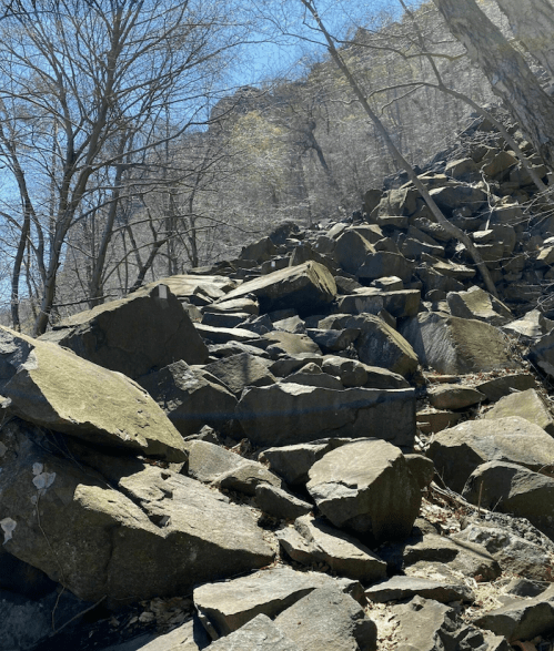 Rocky terrain with large boulders and sparse trees under a clear blue sky.