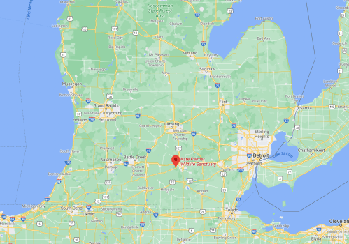 Map showing the location of the Kate Palmer Wildlife Sanctuary in Michigan, surrounded by green areas and highways.