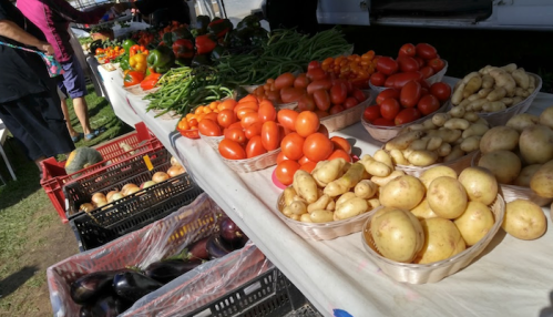 A vibrant farmers' market display featuring fresh vegetables, including tomatoes, potatoes, and green beans.