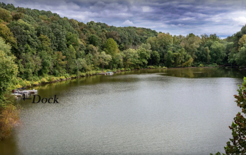 A serene lake surrounded by lush green trees under a cloudy sky, with a small dock visible on the shore.