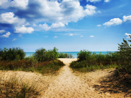 A sandy path leads to a serene beach with blue water and fluffy clouds in the sky, surrounded by greenery.