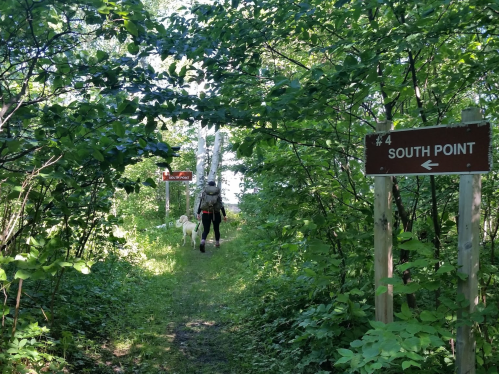 A person and a dog walk along a wooded trail, with signs pointing to "South Point" and other directions.