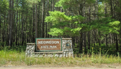 Sign for Negwegon State Park surrounded by tall trees and greenery.