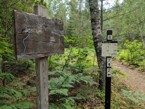 Trail map sign in a wooded area, showing location and trail numbers 6 and 72, surrounded by greenery.