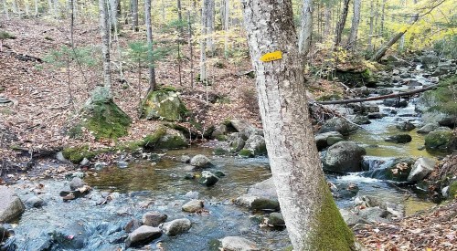 A serene forest scene with a stream flowing over rocks, marked by a yellow trail sign on a tree. Autumn foliage surrounds.