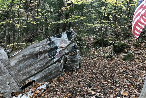 Wreckage of an aircraft in a forest, surrounded by autumn leaves and a small American flag nearby.