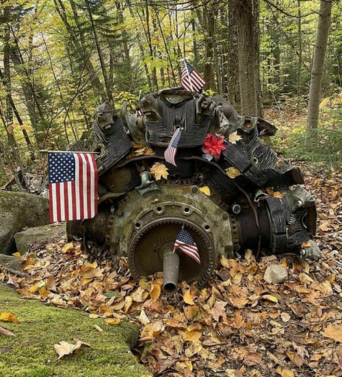An old aircraft engine surrounded by autumn leaves, adorned with small American flags and a red flower.
