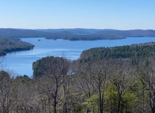 A serene view of a lake surrounded by forested hills under a clear blue sky.