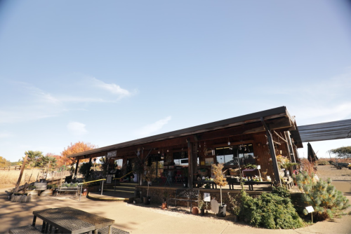 A rustic wooden building with a porch, surrounded by plants and trees, under a clear blue sky.