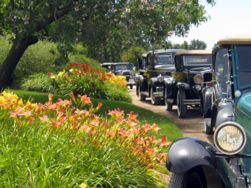A row of vintage cars parked along a flower-lined path in a lush garden setting.