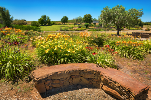 A vibrant garden filled with colorful flowers, featuring a stone bench and lush greenery under a clear blue sky.