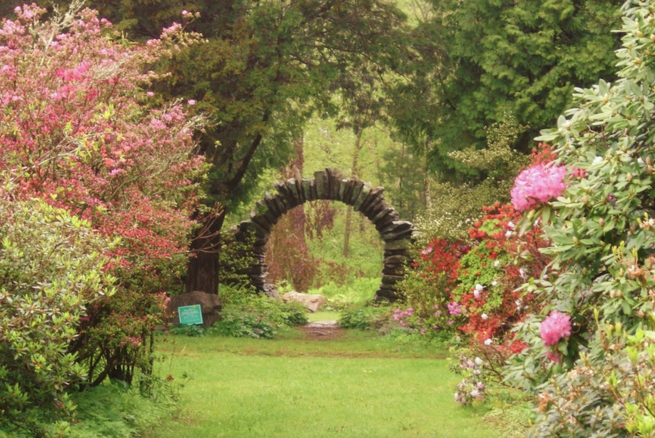 Kinney Azalea Gardens Is A Dreamy Spring Destination In Rhode Island Kinney Azalea Gardens Is A Dreamy Spring Destination In Rhode Island