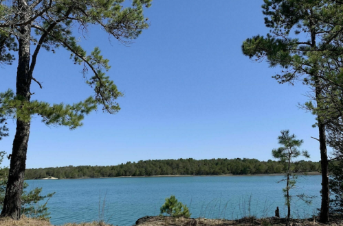 A serene lake surrounded by trees under a clear blue sky, with a distant forested shoreline.