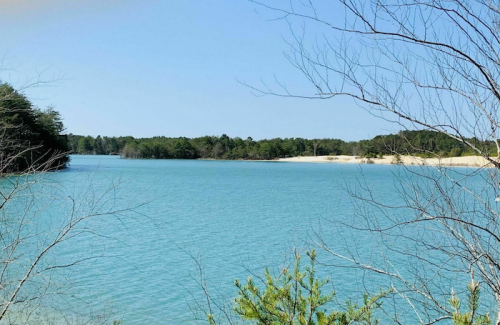 A serene lake surrounded by trees under a clear blue sky, with sandy shores in the distance.