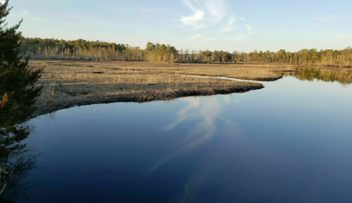 A serene landscape featuring a calm river reflecting the sky, surrounded by marshland and trees.