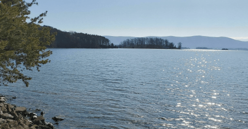 A serene lake view with sparkling water, surrounded by trees and distant hills under a clear blue sky.