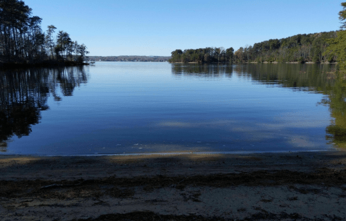 Calm lake reflecting trees and blue sky, with a sandy shore in the foreground.