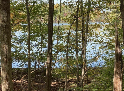 A serene view of a lake surrounded by trees and autumn foliage, with calm water reflecting the landscape.
