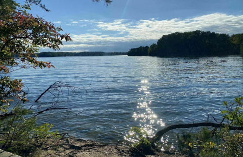 A serene lake scene with sparkling water, surrounded by trees and a cloudy sky.