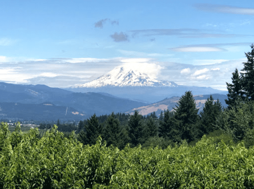 A snow-capped mountain rises above a lush green landscape under a partly cloudy sky.