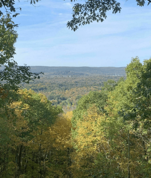 A scenic view of rolling hills covered in autumn foliage under a clear blue sky.