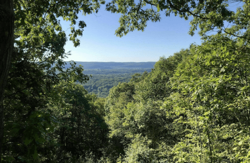 A scenic view of rolling hills and valleys framed by lush green trees under a clear blue sky.