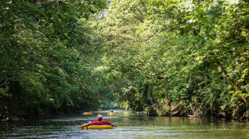 A serene river scene with people kayaking among lush green trees on both sides.