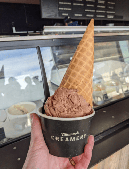 A hand holding a waffle cone with chocolate ice cream in front of a creamery display.