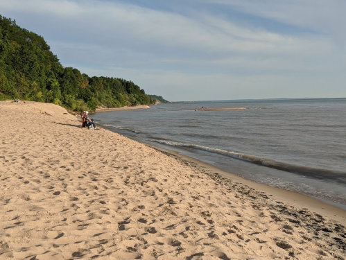 A sandy beach with gentle waves, surrounded by greenery and a clear sky, with a few people in the distance.