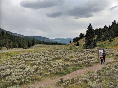 A person and a child walk along a trail through a grassy area with trees and mountains in the background under a cloudy sky.