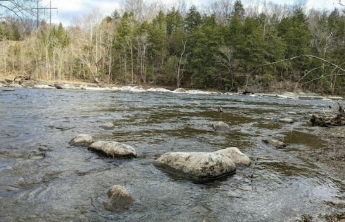 A serene river scene with smooth stones, surrounded by trees and a cloudy sky.
