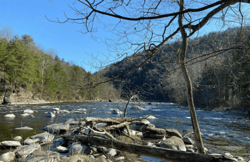 A serene river scene with smooth stones, a bare tree, and lush green hills under a clear blue sky.