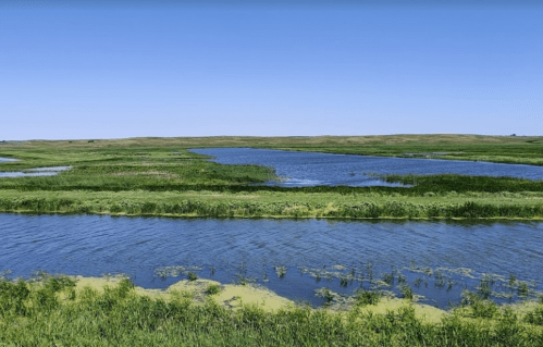 A serene landscape featuring a winding river surrounded by lush green grass and clear blue skies.