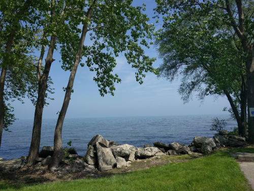 A serene lakeside view with trees, rocks, and calm water under a clear blue sky.