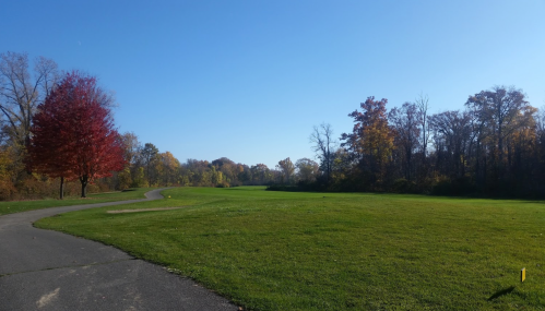 A scenic view of a park with a winding path, vibrant autumn trees, and a clear blue sky.