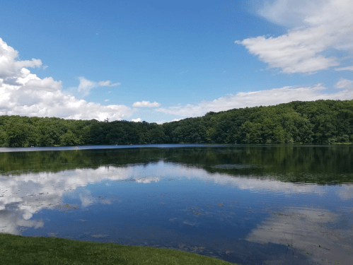 A serene lake surrounded by lush green trees under a blue sky with fluffy clouds, reflecting on the water's surface.