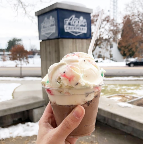 A hand holding a cup of colorful ice cream with a snowy background and a sign for "Aggie Creamery."