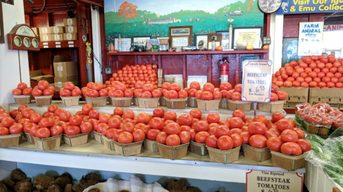 A display of fresh beefsteak tomatoes in baskets at a market, with a colorful mural in the background.