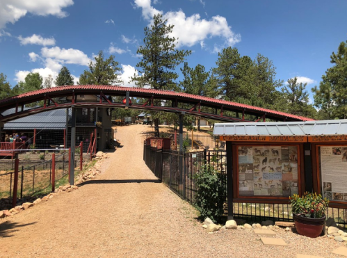 A pathway leads to a red-roofed structure in a forested area, with blue skies and clouds above.