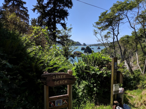 A scenic view of Baker Beach, framed by lush greenery and trees, with rocky formations in the ocean under a clear blue sky.