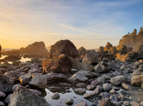 Rocky shoreline at sunset, with tide pools reflecting the warm colors of the sky and silhouettes of distant trees.