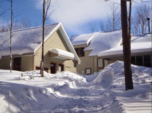 A snowy landscape featuring two houses surrounded by tall trees under a clear blue sky.